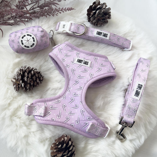 Adjustable Collar - Candy Cane Dreams - LIMITED EDITION - Furry Tails