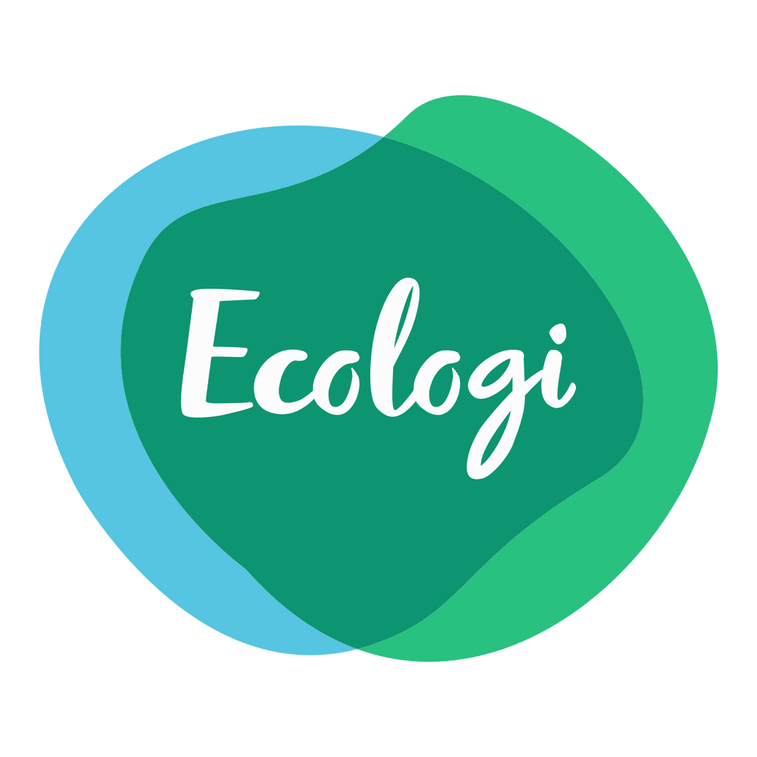 Ecologi - How to grow trees to solve climate change - Furry Tails