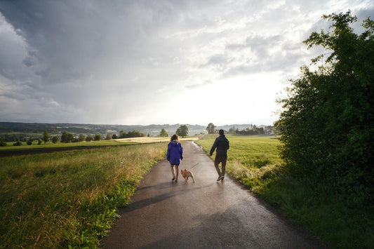 The Importance of Regular Dog Walks: Physical and Mental Benefits - Furry Tails