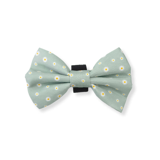 Bow Tie - Daisy Green