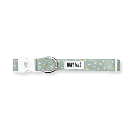 Adjustable Dog Collar - Daisy Green