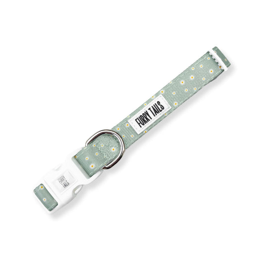 Adjustable Dog Collar - Daisy Green