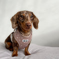 Load image into Gallery viewer, Adjustable Dog Harness  - Caramel Hearts
