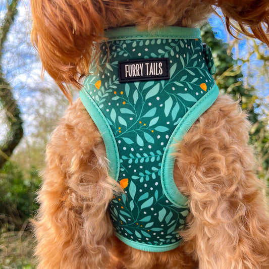 Buttercup Tropics - Dog Harness Bundle