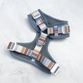 Afbeelding laden in Galerijviewer, Blue Stripe - Dog Harness Bundle
