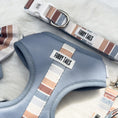 Load image into Gallery viewer, Brown and blue striped dog harness and collar
