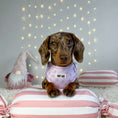 Load image into Gallery viewer, Adjustable Dog Harness  - Candy Cane Dreams
