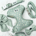 Load image into Gallery viewer, Adjustable Harness  - Daisy Green
