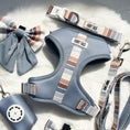 Charger l'image dans la visionneuse de la galerie, Blue Stripe - Dog Harness Bundle
