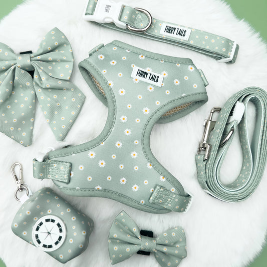 Daisy Green - Dog Harness Bundle