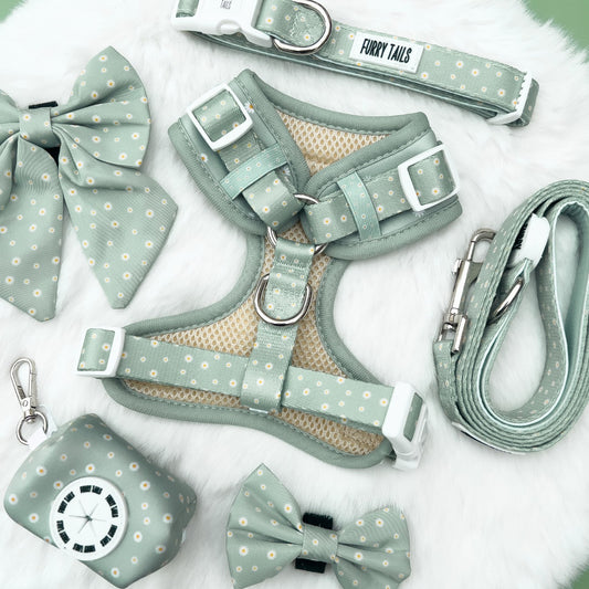 Daisy Green - Dog Harness Bundle