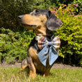 Load image into Gallery viewer, Sailor Bow - Blue Stripe
