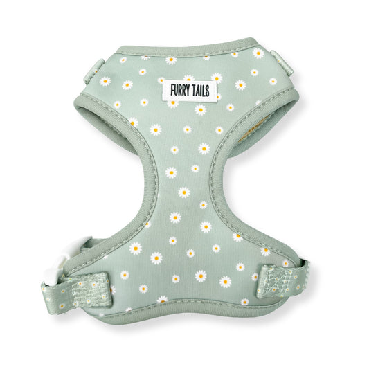 Adjustable Dog Harness  - Daisy Green