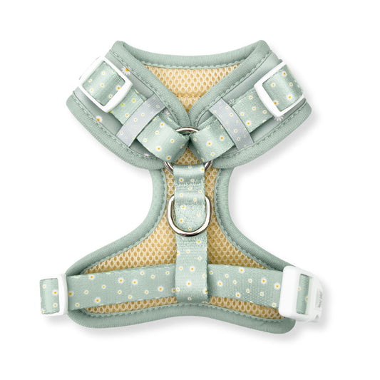 Adjustable Dog Harness  - Daisy Green