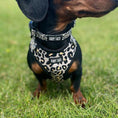 Afbeelding laden in Galerijviewer, Adjustable Harness  - Lazy Leopard - Furry Tails
