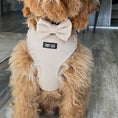 Load image into Gallery viewer, Adjustable Dog Harness - Tweed - Cashmere
