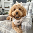 Load image into Gallery viewer, Adjustable Dog Harness - Tweed - Cashmere
