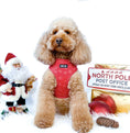 Load image into Gallery viewer, HO HO HO Bundle - Furry Tails
