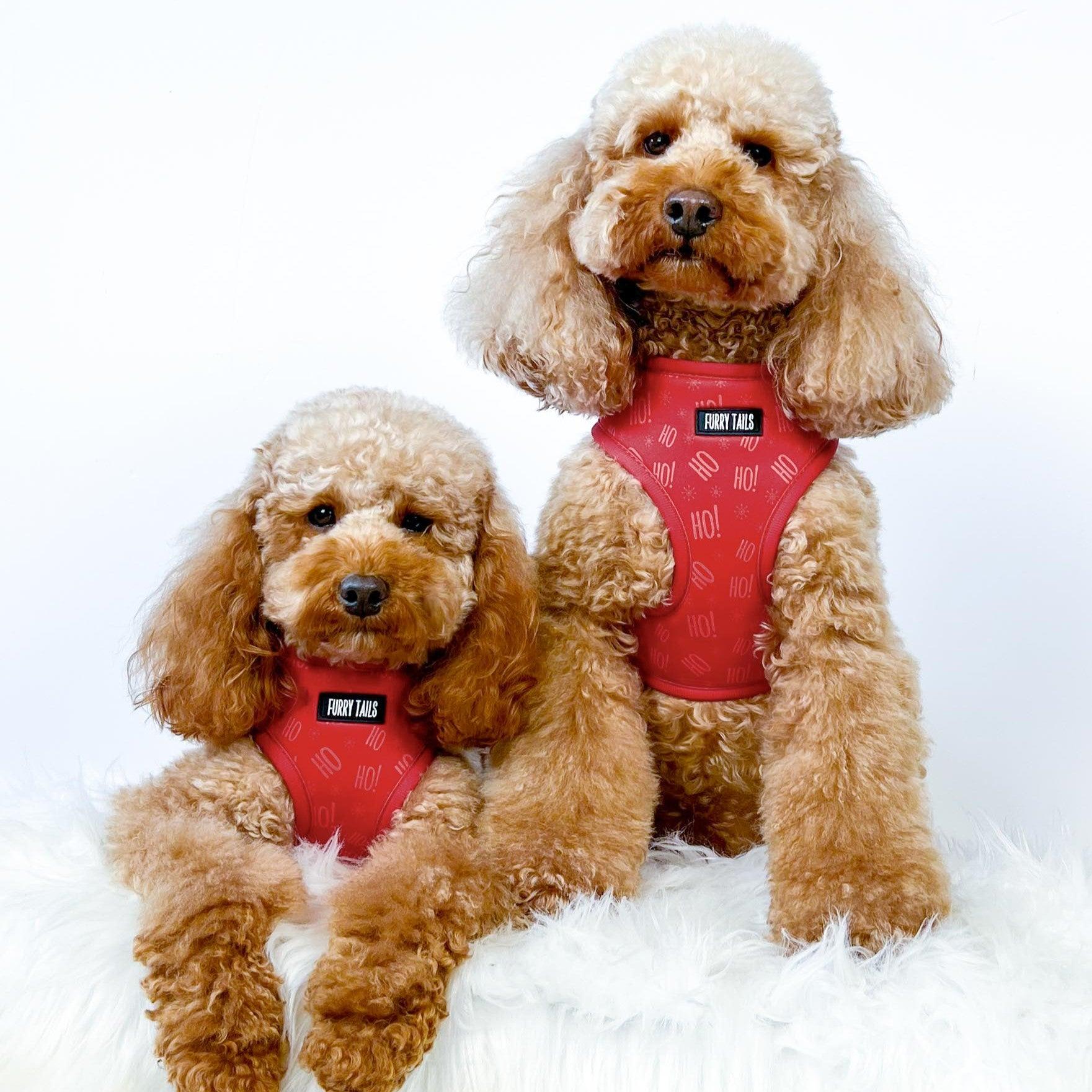 Adjustable Harness  - HO HO HO - LIMITED EDITION - Furry Tails