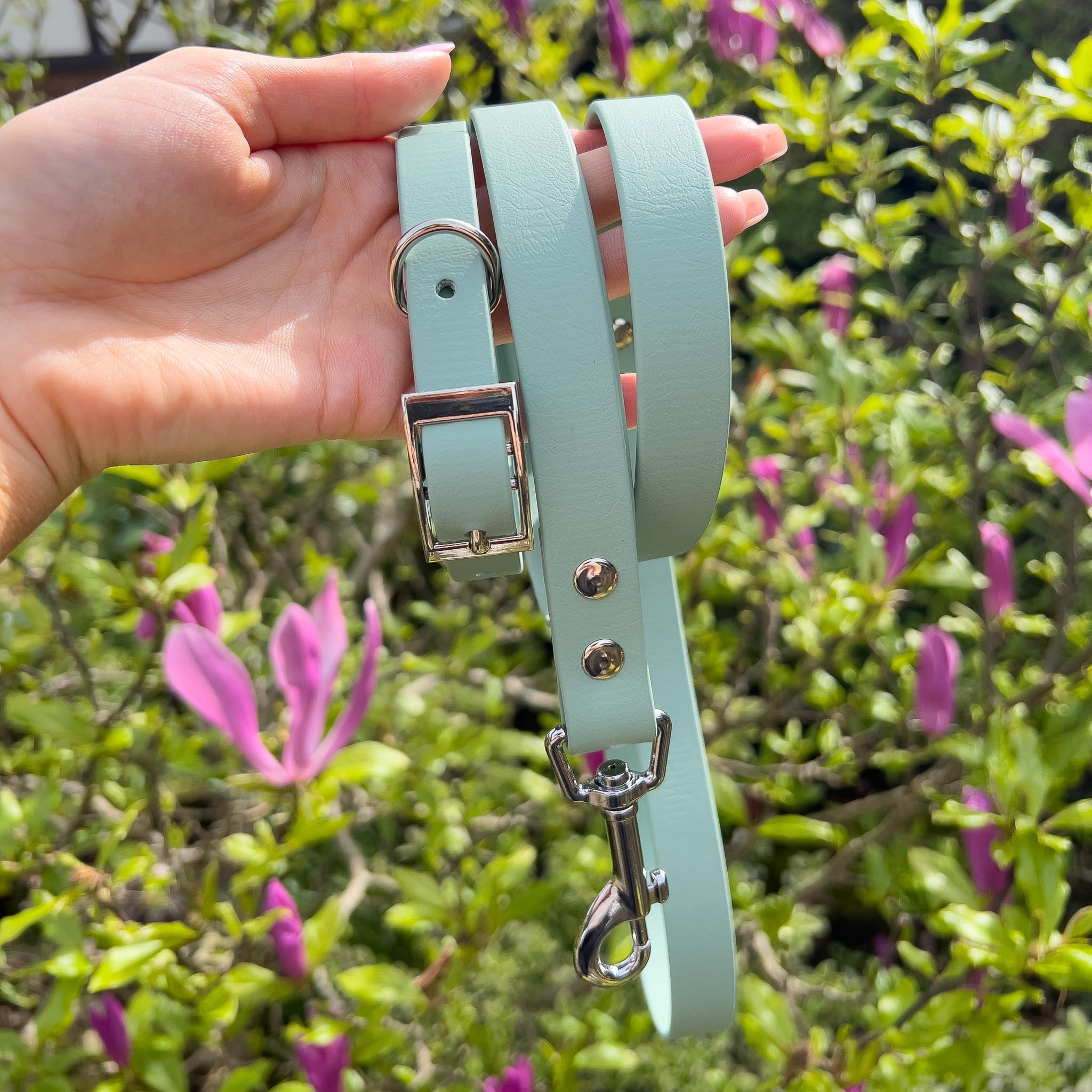 Waterproof Collar - Tiffany Blue