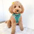 Charger l'image dans la visionneuse de la galerie, Adjustable Harness  - Buttercup Tropics - Furry Tails
