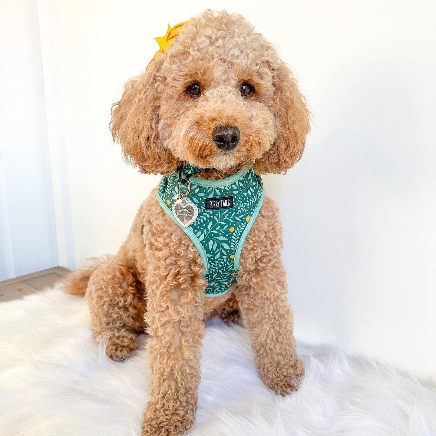 Adjustable Harness  - Buttercup Tropics - Furry Tails