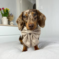 Load image into Gallery viewer, Adjustable Dog Harness  - Caramel Hearts
