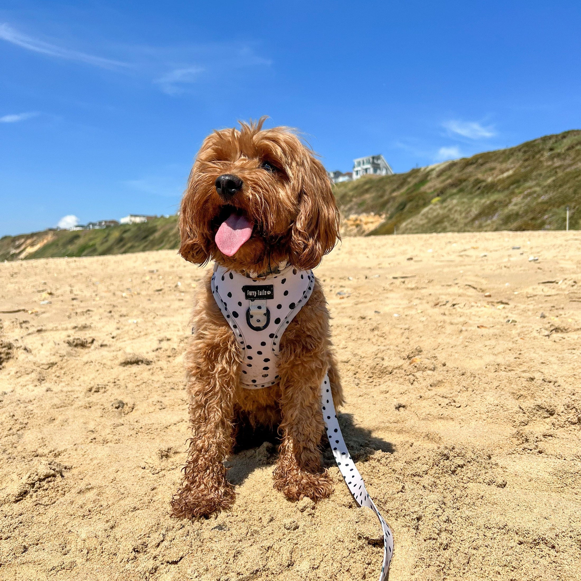 Adjustable Harness - Cookies 'N' Cream - Furry Tails