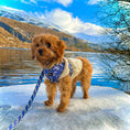 Load image into Gallery viewer, Adjustable Harness - Cotton Trails - Furry Tails
