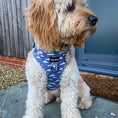 Load image into Gallery viewer, Adjustable Harness - Cotton Trails - Furry Tails
