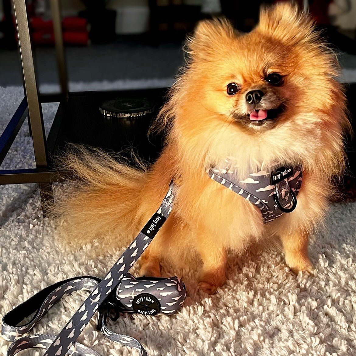 Adjustable Harness - Cotton Trails - Furry Tails