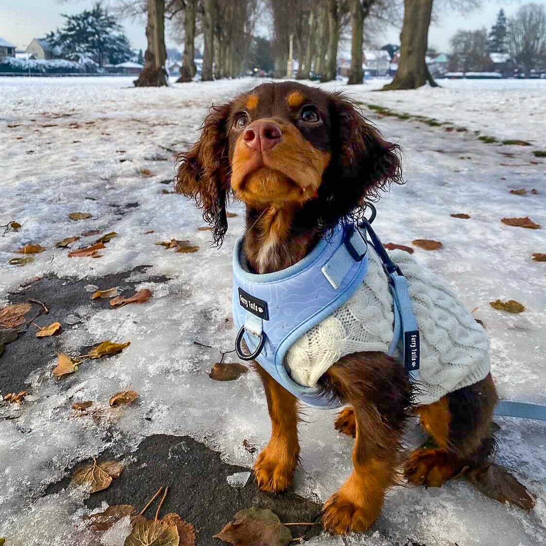 Adjustable Harness - Ocean Swirl - Furry Tails