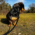 Load image into Gallery viewer, Waterproof Collar - Black - Furry Tails
