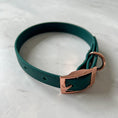 Charger l'image dans la visionneuse de la galerie, Waterproof Collar - Emerald - Furry Tails
