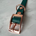 Charger l'image dans la visionneuse de la galerie, Waterproof Collar - Emerald - Furry Tails
