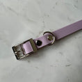 Charger l'image dans la visionneuse de la galerie, Waterproof Collar - Heather - Furry Tails
