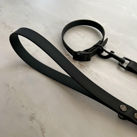 Waterproof Collar + Lead Bundle - Black - Furry Tails