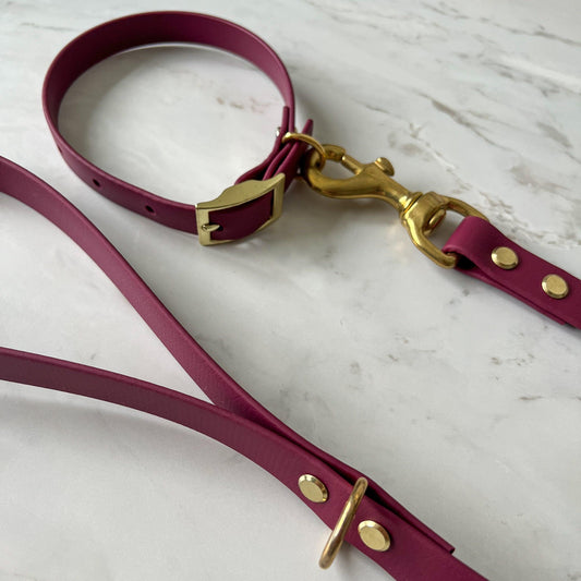 Waterproof Collar + Lead Bundle - Sangria - Furry Tails